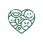 Emotion Focused Therapy